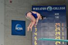 Diving vs Babson  Wheaton College Diving vs Babson College. - Photo By: KEITH NORDSTROM : Wheaton, Diving